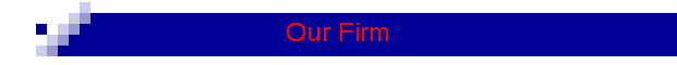 Our Firm