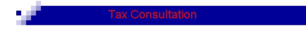 Tax Consultation