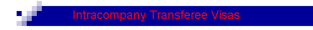 Intracompany Transferee Visas