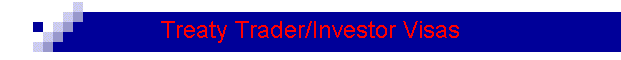 Treaty Trader/Investor Visas